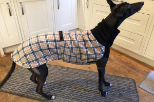 Greyhound Cosy Fleece Coat