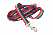 Leads
