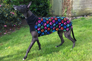 Greyhound Snuggle Fleece