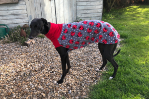 Greyhound Snuggle Fleece